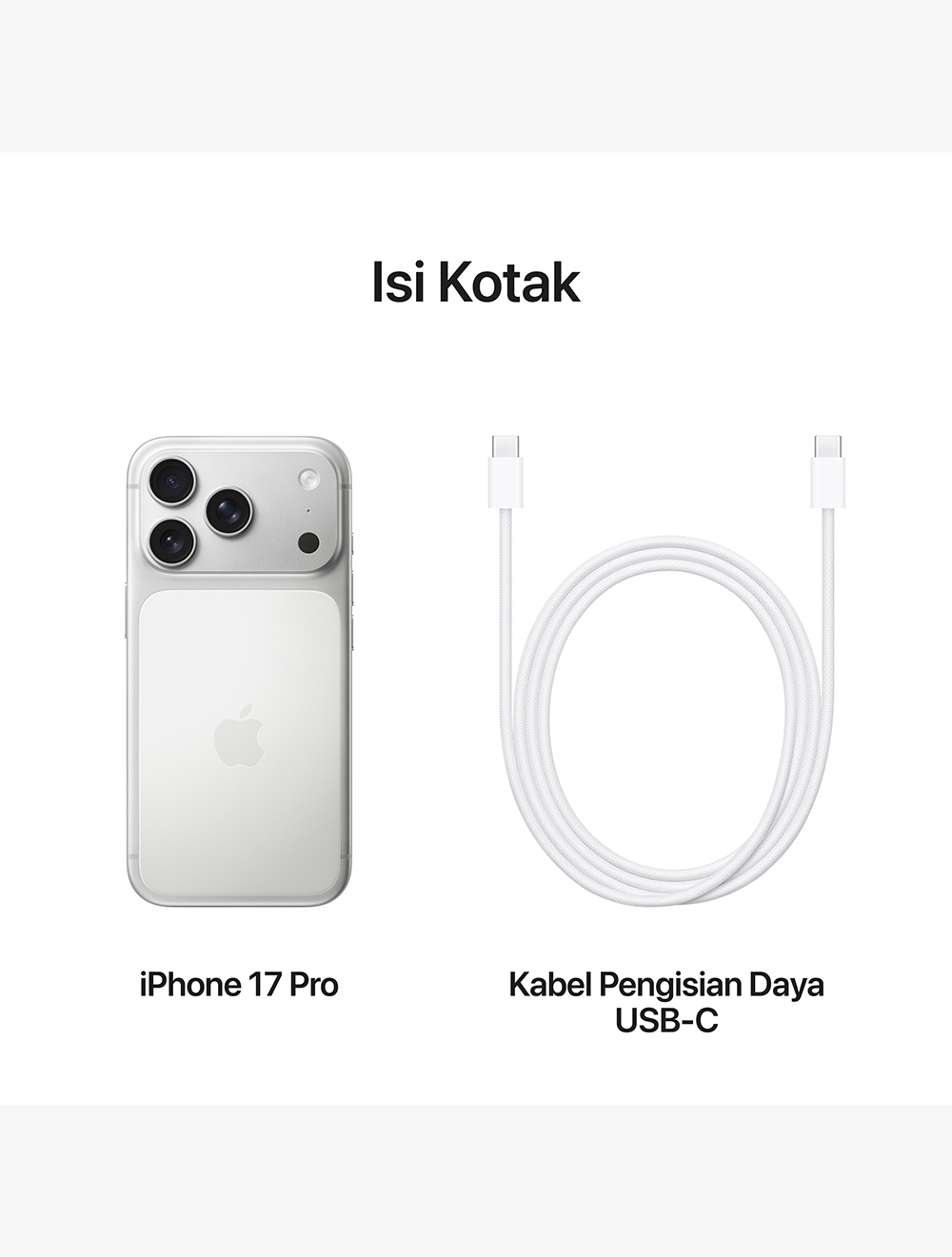 iPhone 17 Pro / Pro Max Silver 256GB