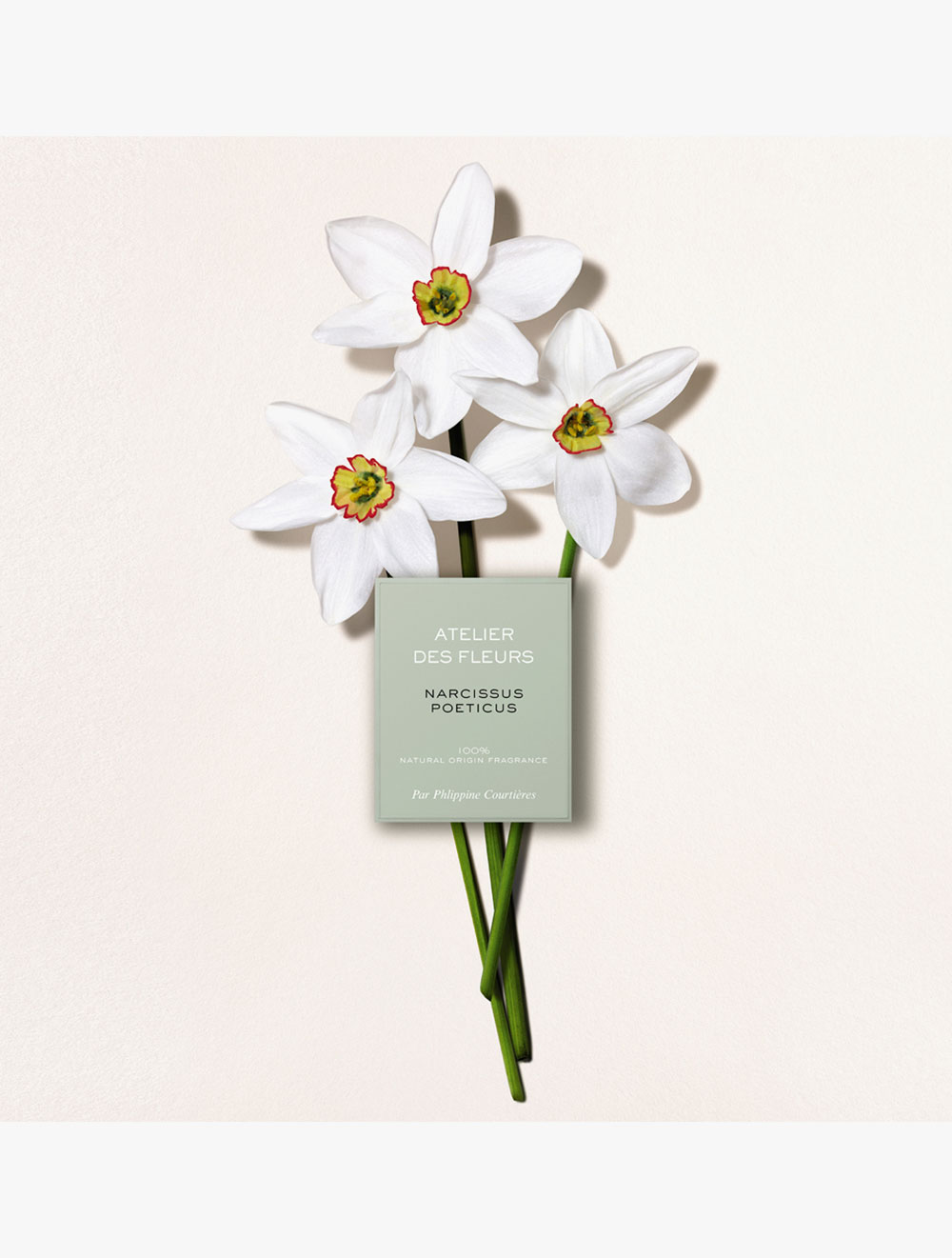 Chloé Atelier des Fleurs Narcissus Poeticus Eau de Parfum 150ml