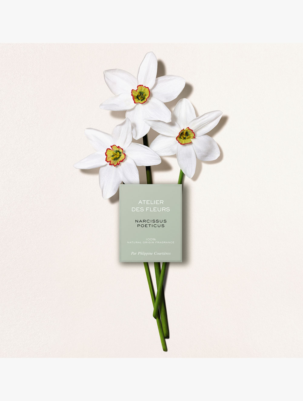 Chloé Atelier des Fleurs Narcissus Poeticus Eau de Parfum 50ml