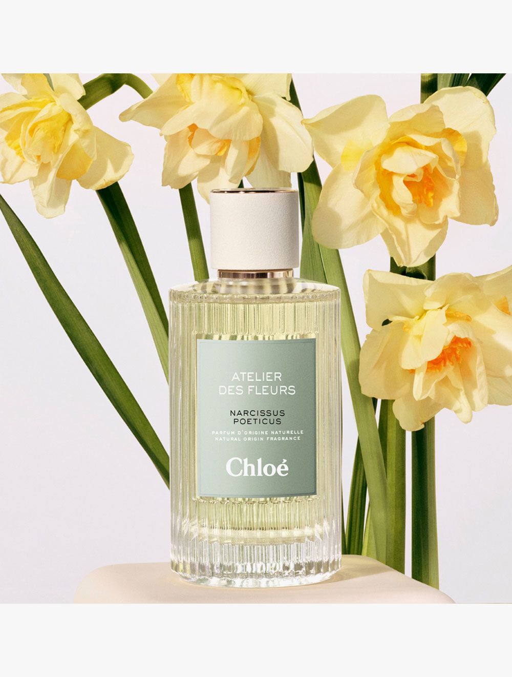 Chloé Atelier des Fleurs Narcissus Poeticus Eau de Parfum 50ml