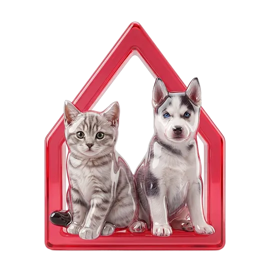 PETS